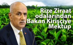 Rize Ziraat odalarından Tarım bakanı Kirişçi'ye mektup