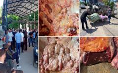 Rize İl Tarım ve Orman Müdürlüğü'nden Tüberküloz Açıklaması