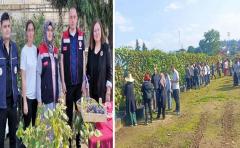Coğrafi İşaretli Kokulu Üzüm’de ‘Bağ Bozumu’ Etkinliği